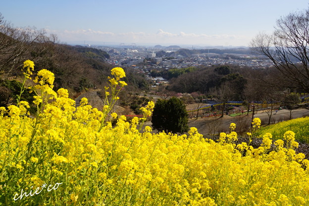 金沢自然公園-279