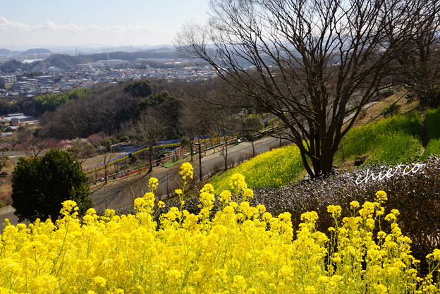 金沢自然公園-280