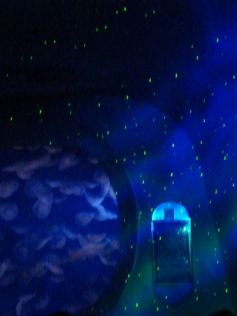 P1100043