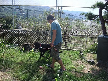 お父さんと庭散策