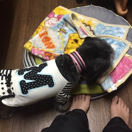 「未来ここ座り♪」