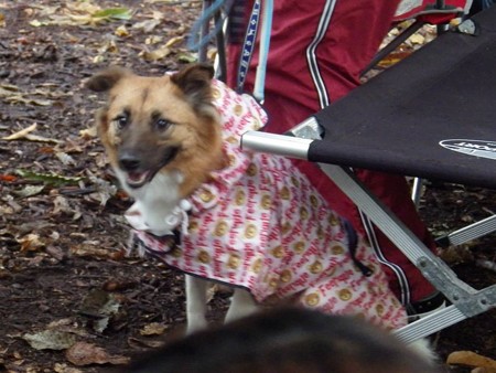 椅子の下がやはり避難場所になる