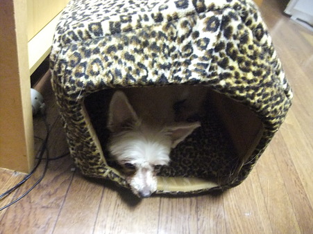 ここでお休み中