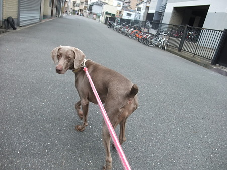 あんたが引っ張るからや!
