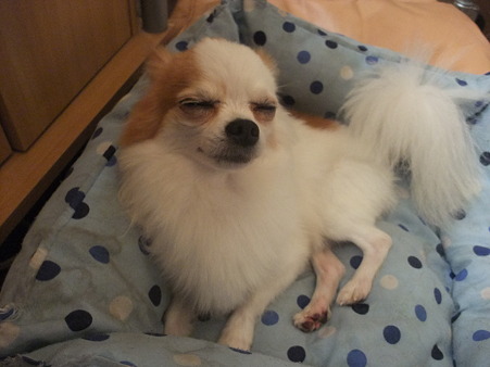 眠かっただけか・・・