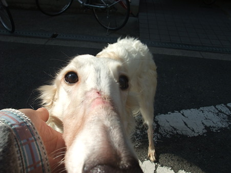 くっ付いていると安心