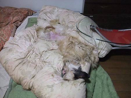 おっぴろげのリラックス状態