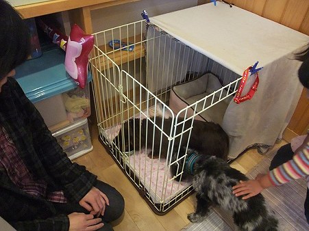 ショコラハウス