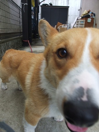 迎えに来たよ~~!!