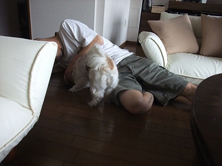 パパさん、いろちゃんにメロメロな予感