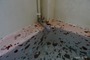 クリックで拡大 P1070178