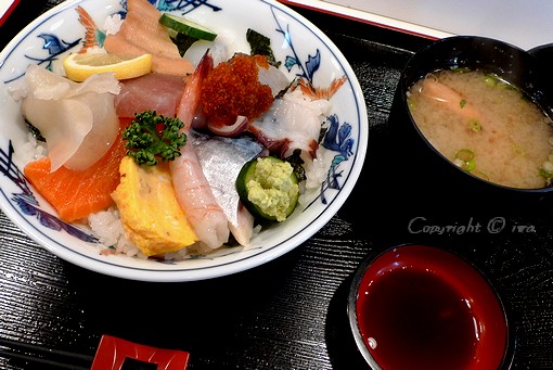 生ちらし P1090196