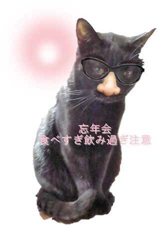 黒猫チャンプ