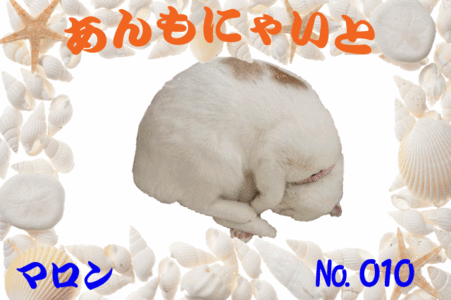 マロンくん640×428
