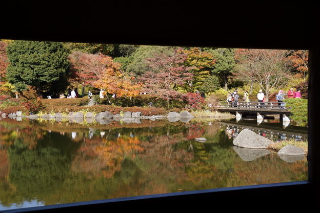 額縁の紅葉風景141115-7625