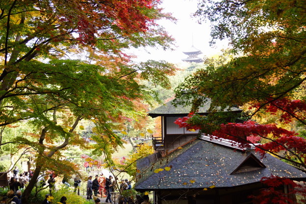 紅葉の聴秋閣2014