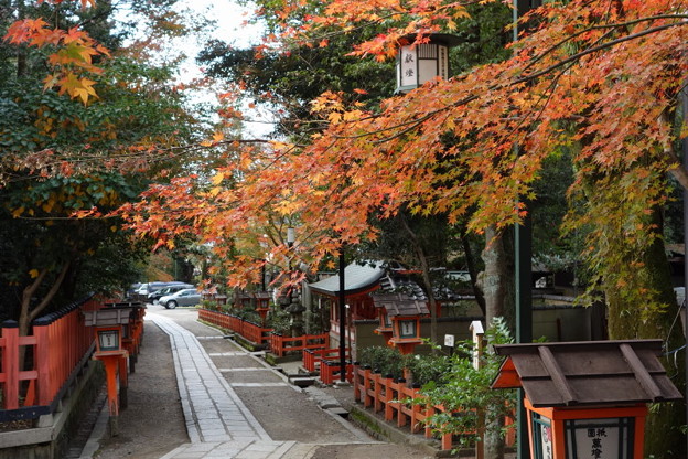 紅葉彩る参道、八坂神社!2014