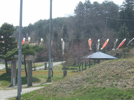 DSCF5034