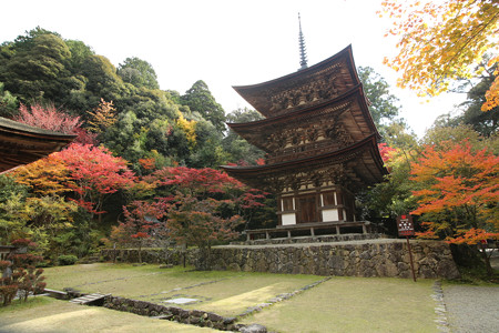西明寺 - 14