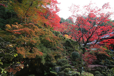 金剛輪寺 - 013
