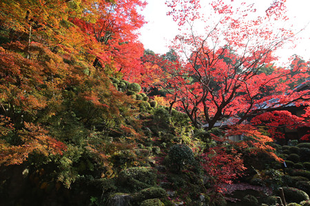 金剛輪寺 - 015