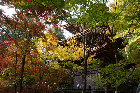 金剛輪寺 - 024