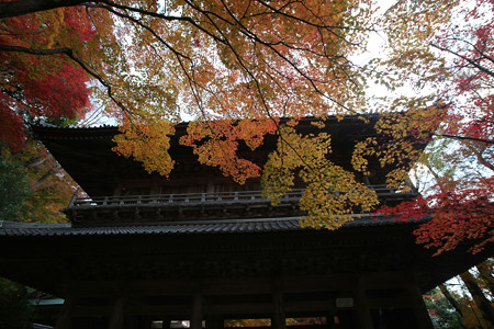 永源寺 - 005