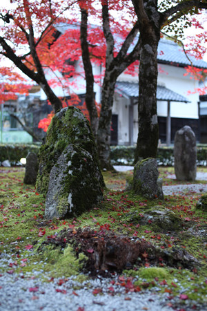 永源寺 - 014