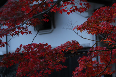 永源寺 - 016