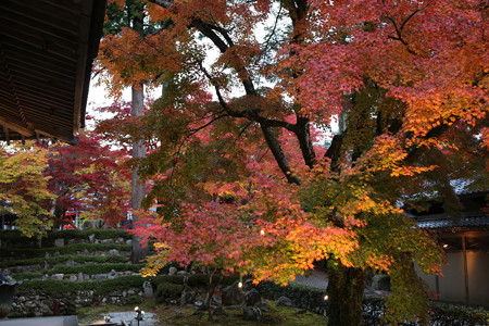 永源寺 - 019
