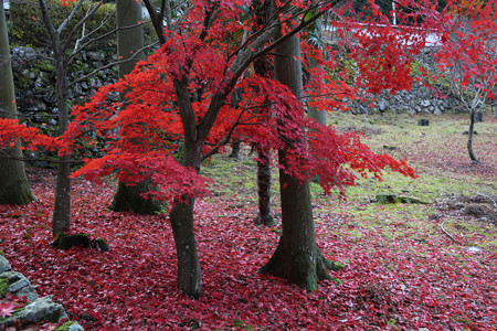 玉雲寺 - 05