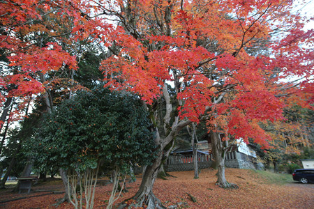 九手神社 - 02