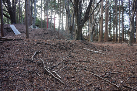 野間城 - 05