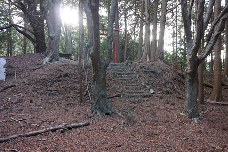 野間城 - 06