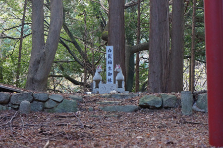野間城 - 08