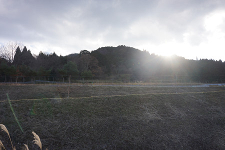 野間城 - 10