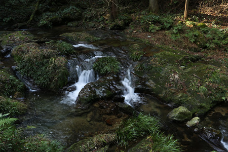 鰐淵寺 - 02