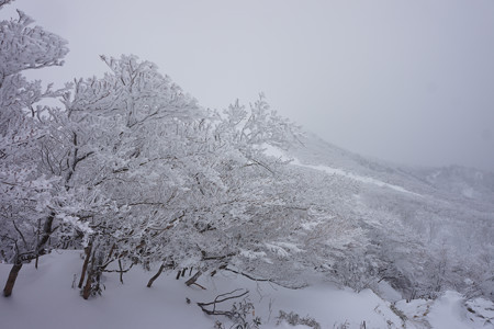 御在所岳 - 11