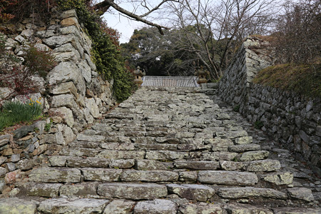 長保寺 - 04