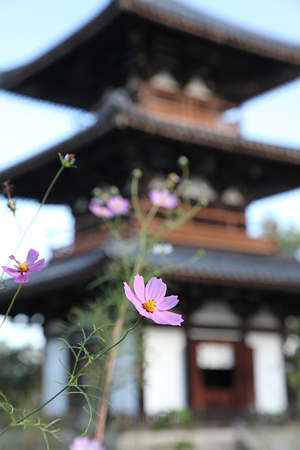 法起寺 - 09