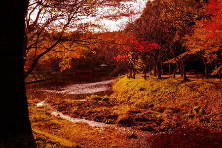 定光寺公園2