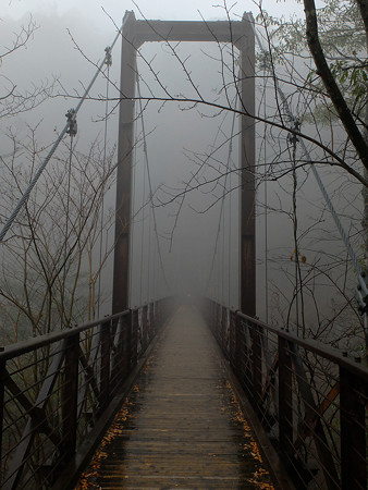 DSCF1543
