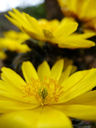 DSCF5869