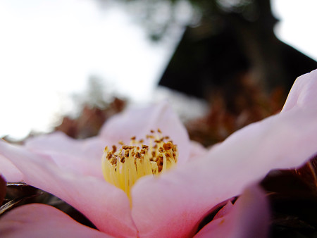 DSCF5836
