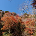 Photos: rs-141202_13_日高邸跡からの眺め(梅が瀬渓谷) (8)