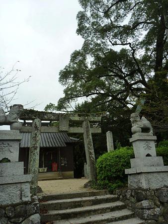 P1010320