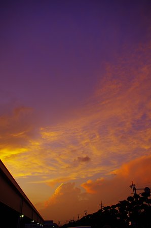 IMGP2816