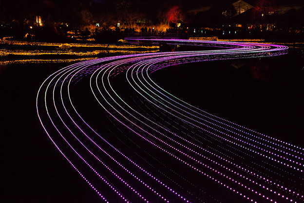 _MG_1346