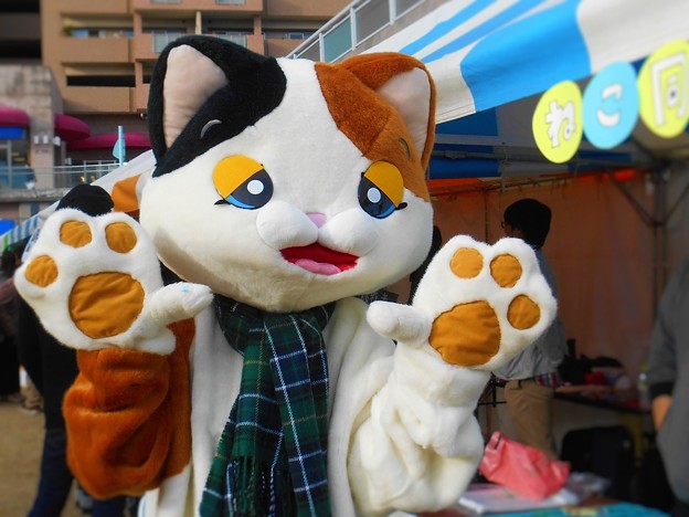 ねこ同好会の新ゆるキャラ「みっちー」にゃのら♪ネコはおこたで丸くなる！寒いのは苦手なので寒波到来とともにマフラーで登場。自慢の肉球も人気ですー♪