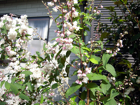 DSCN0867_edited